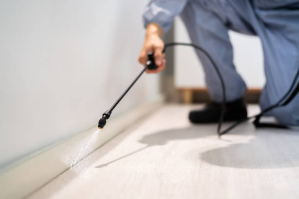 Licensed Termite Control service in Bristol, VA - Nex Pest Control