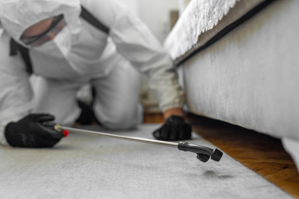Professional Termite Control technician working in Bristol, VA