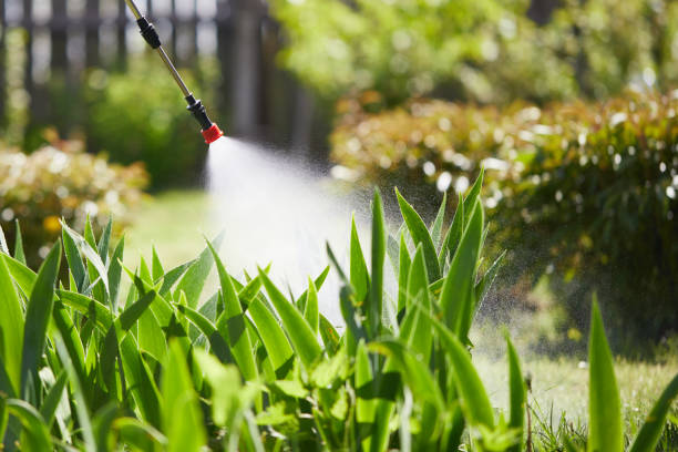 24/7 Emergency Termite Control experts in Bristol, VA