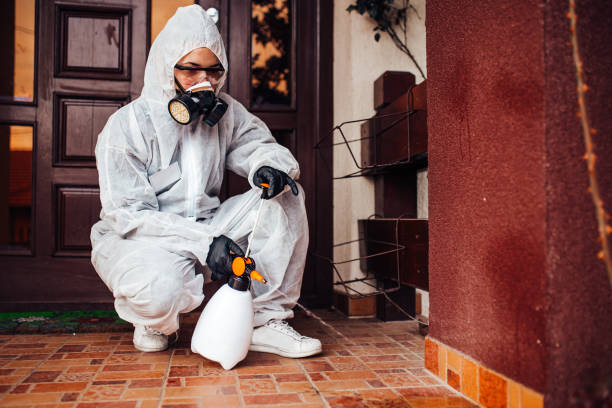 Reliable Termite Control contractor in Bristol, VA by Nex Pest Control