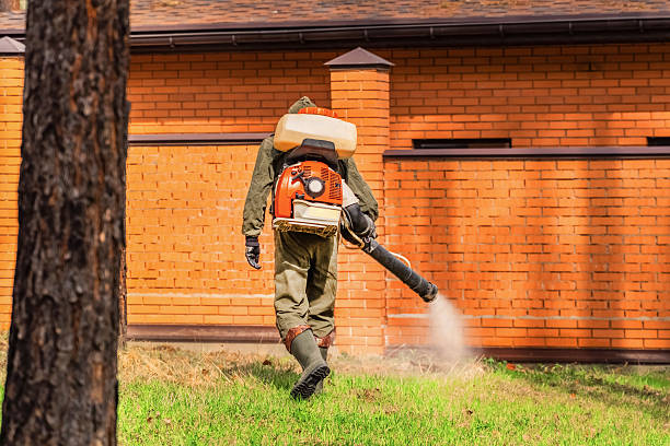 Trusted Termite Control service in Bristol, VA - Nex Pest Control